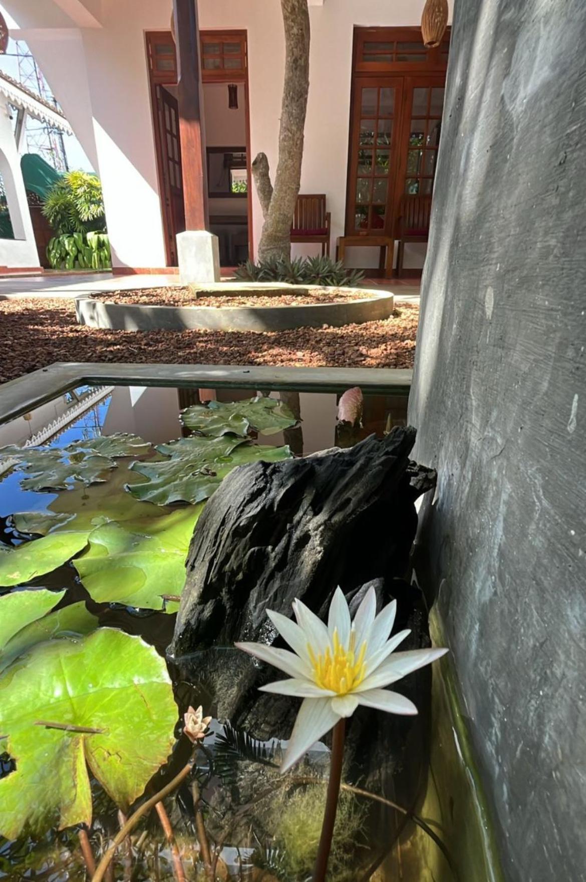 Beach Club Apartments Induruwa Bagian luar foto
